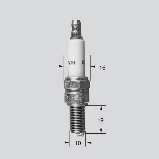 CHAMPION RACING - 8698/T10